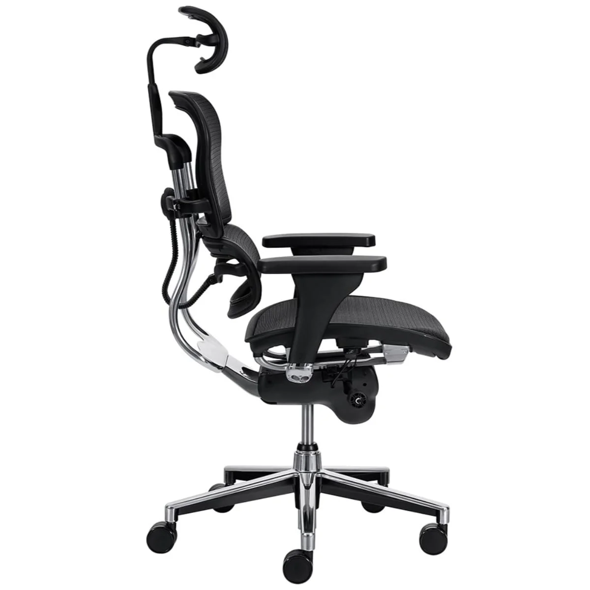 Mckinley Gold - Imagen 3