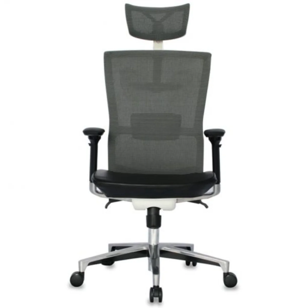 Taylor Presidente - Imagen 4