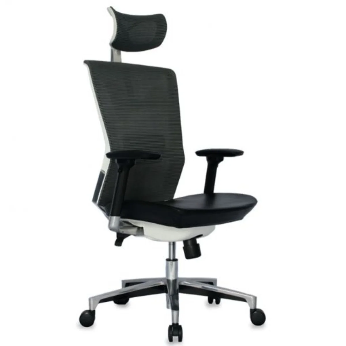 Taylor Presidente - Imagen 3