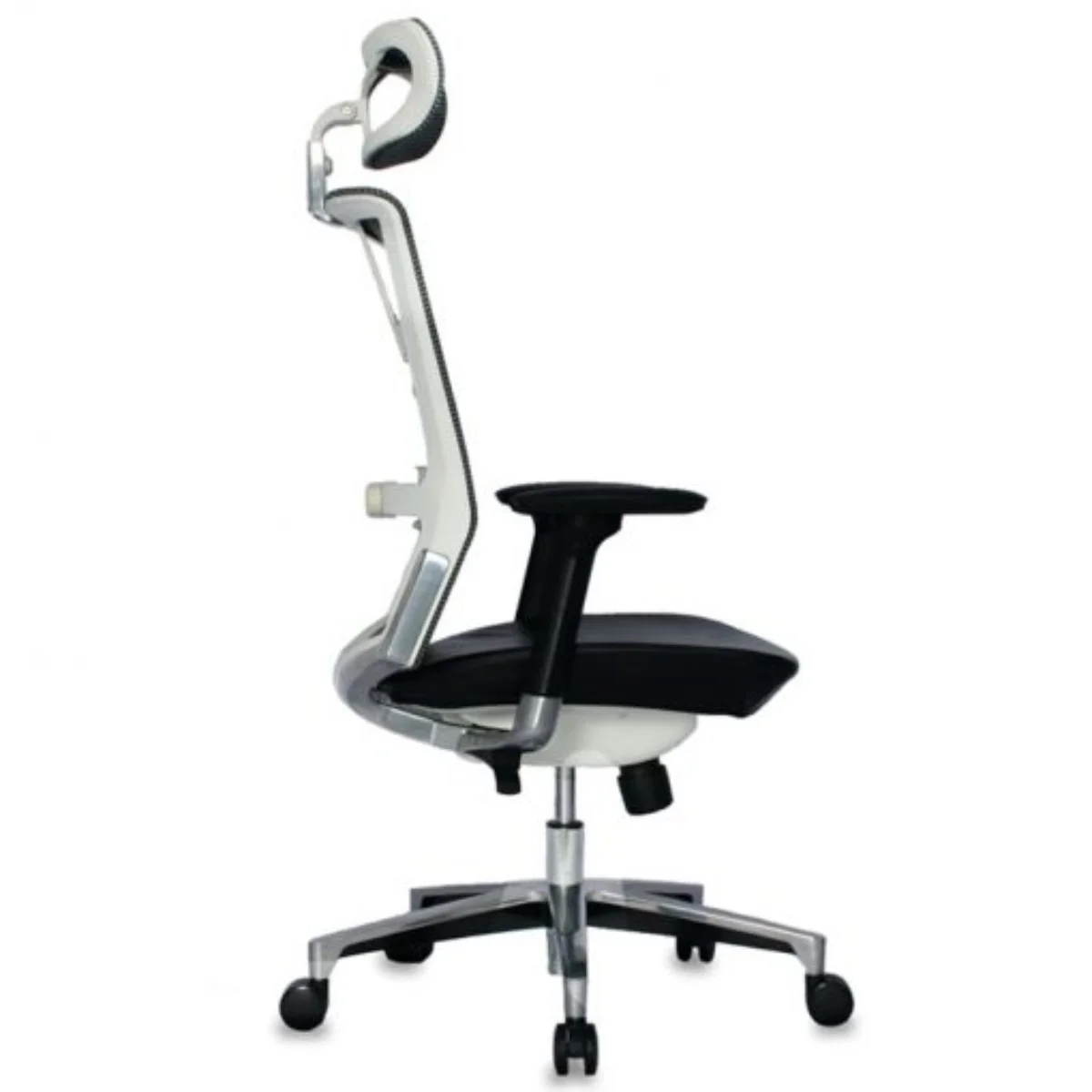 Taylor Presidente - Imagen 5