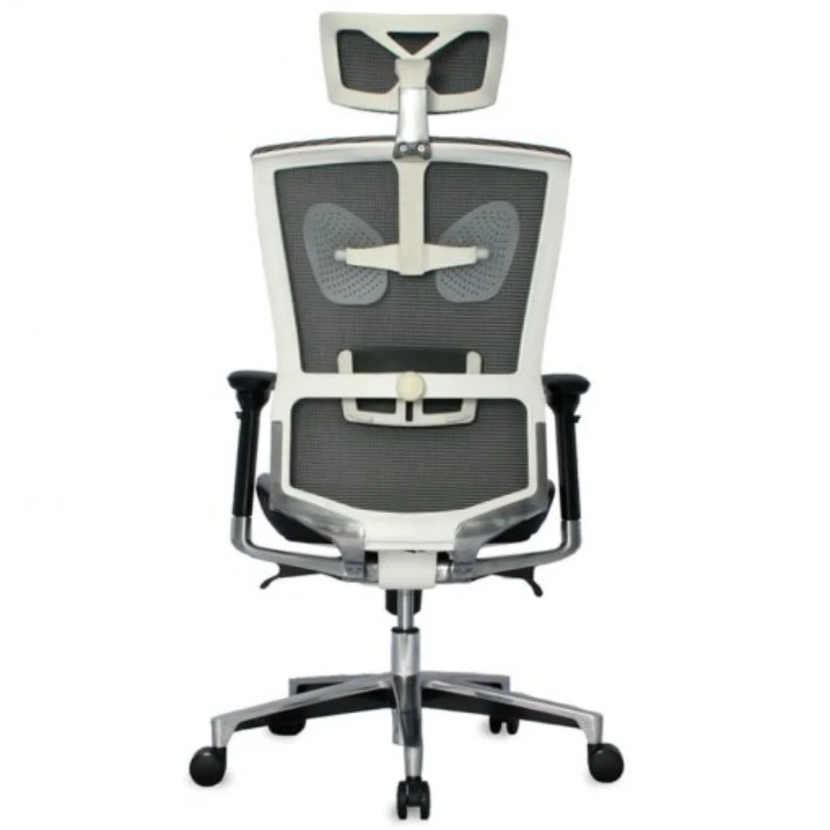 Taylor Presidente - Imagen 6